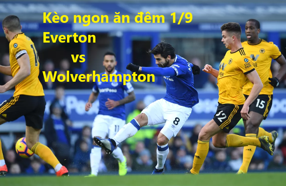 Ty le keo Everton vs Wolverhampton, 20h00 ngay 1/9 NHA hinh anh 1