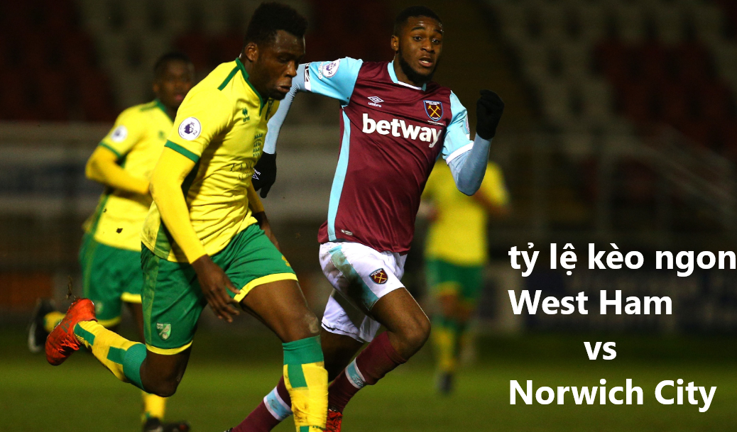 Ty le keo West Ham vs Norwich City: ngay 31/08 NHA hinh anh 1