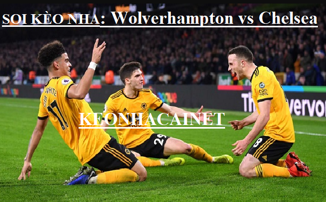 Ty le keo Wolverhampton vs Chelsea, ngay 14/9 luc 21h00 hinh anh 1