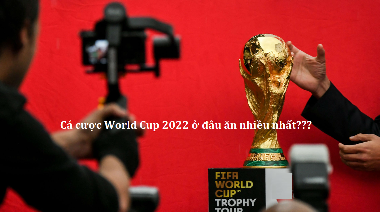 Ca cuoc World Cup 2022 o dau an nhieu nhat 