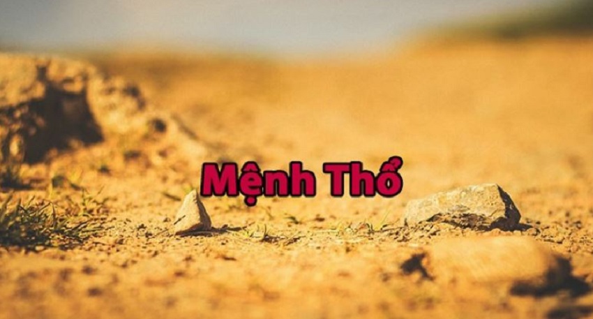 Thong tin cach chon cay phong thuy menh tho